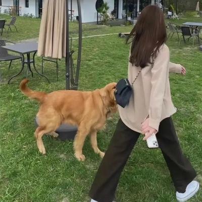 她背后的那双手